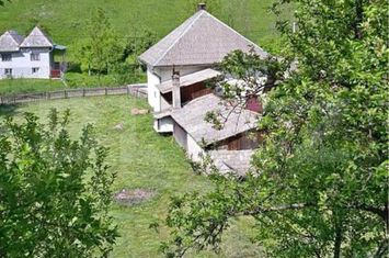 Vilă - 3 camere de vanzare INTREGALDE - Alba anunturi imobiliare Alba