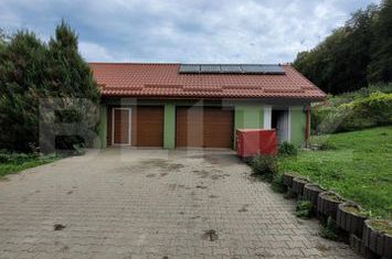 Vilă - 7 camere de vanzare TIMISOARA - Timis anunturi imobiliare Timis