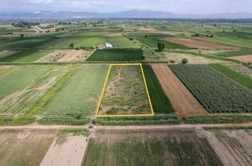 Loturi agricole 28.307 mp în Monastiraki (pachet) anunturi imobiliare Grecia