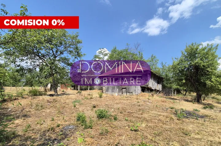 Casă - 2 camere de vanzare MUSETESTI - Gorj anunturi imobiliare Gorj
