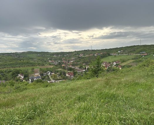 Teren Extravilan Dealuri Oradea, 1300 mp