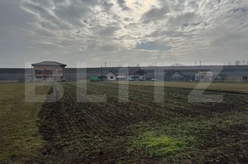 Teren de vanzare VINTU DE JOS - Alba anunturi imobiliare Alba