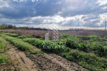 Teren intravilan , curent , apa , nr de casa Sacosu Turcesc anunturi imobiliare Timis