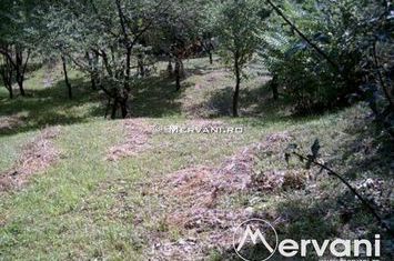 Teren de vanzare POIANA CAMPINA - Prahova anunturi imobiliare Prahova