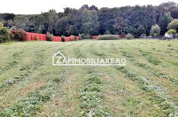 Teren Intravilan 5400 mp Corunca Valea Iubirii anunturi imobiliare Mures