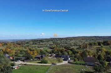 Teren Intravilan de vanzare CACICA - Suceava anunturi imobiliare Suceava