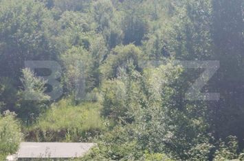Teren de vanzare VALEA VOIEVOZILOR - Dambovita anunturi imobiliare Dambovita