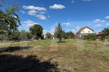 Casă - 5 camere de vanzare SAG - Timis anunturi imobiliare Timis