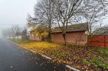 De vânzare Casă cu Grădină Generoasă in Dorobanți anunturi imobiliare Arad