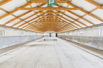 Hală pentru producție / fermă zootehnică  - Variaș anunturi imobiliare Timis