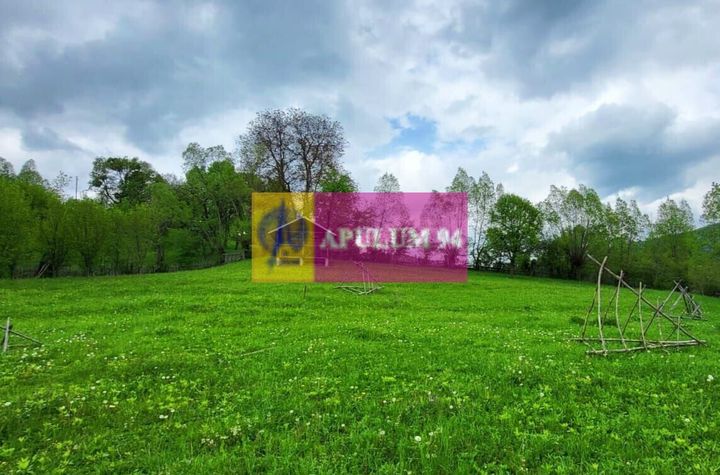 Teren de vanzare in Valea Doftanei - Sat Tesila anunturi imobiliare Prahova