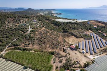 Teren 8.813 mp, la 350 metri de mare — Paralia Folias anunturi imobiliare Grecia