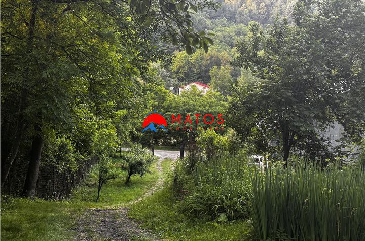Casă - 6 camere de vanzare PROVITA DE JOS - Prahova anunturi imobiliare Prahova
