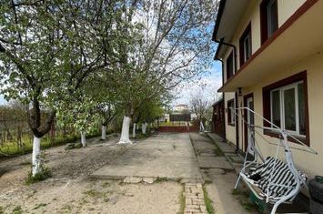 Vilă - 8 camere de vanzare MALU MARE - Dolj anunturi imobiliare Dolj