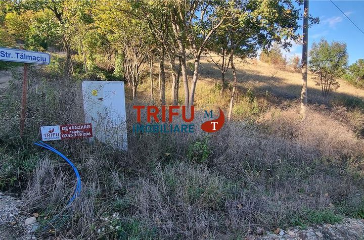 Teren Intravilan de vanzare CENTRAL - Alba anunturi imobiliare Alba