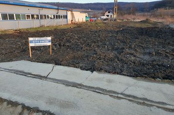 Teren 6000 mp, intravilan, Târgu Mureș anunturi imobiliare Mures