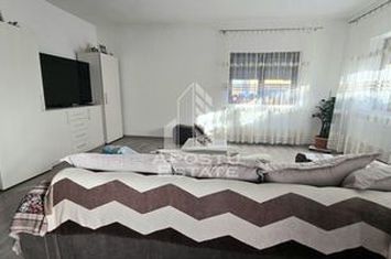 Casa individuala cu 4 camere si garaj in Sag anunturi imobiliare Timis