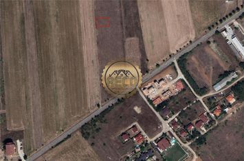 Teren Intravilan de vanzare PALEU - Bihor anunturi imobiliare Bihor