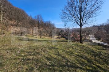 Teren de vanzare ALMASU MARE - Alba anunturi imobiliare Alba