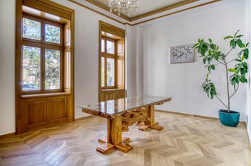 Stirbei Voda - Spatiu de birouri in vila cu garaj anunturi imobiliare Bucuresti