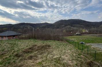 Vilă - 4 camere de vanzare TAUTII-MAGHERAUS - Maramures anunturi imobiliare Maramures