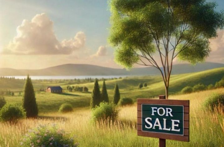 Teren de vanzare DAMBUL MORII - Brasov anunturi imobiliare Brasov