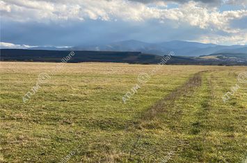 Teren Extravilan de vanzare CRISTIAN - Sibiu anunturi imobiliare Sibiu