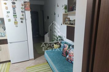 Apartament cu o camera in zona Sagului, centrala termica si ac anunturi imobiliare Timis