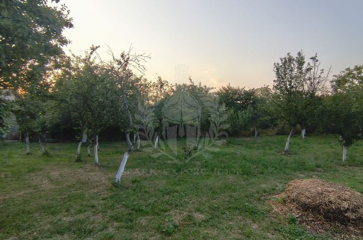 TEREN INTRAVILAN\\CORNU DE JOS anunturi imobiliare Prahova