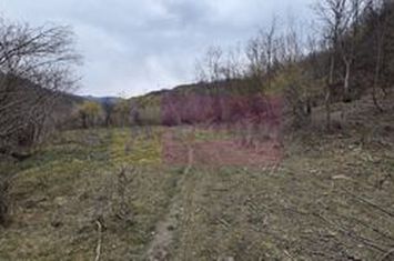 Teren de vanzare in Brebu - Raul Doftana anunturi imobiliare Prahova