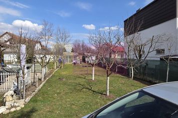 Teren intravilan de vanzare 500 mp in Campina, Oportunitate anunturi imobiliare Prahova