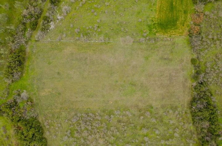 Teren agricol 2725 mp în Moustheni, Kavala anunturi imobiliare Grecia
