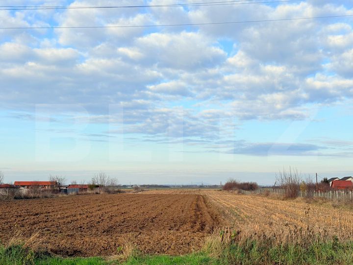 Teren de vanzare SATU MARE - Satu Mare anunturi imobiliare Satu Mare