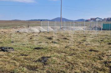 Casă - 1 camere de vanzare SANPETRU - Brasov anunturi imobiliare Brasov