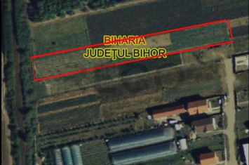 Teren Intravilan de vanzare BIHARIA  - Bihor anunturi imobiliare Bihor