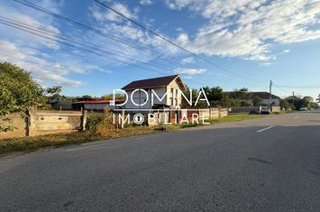 Teren de vanzare CURTISOARA - Gorj anunturi imobiliare Gorj