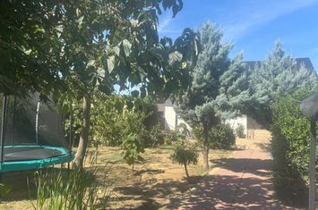 Casă - 3 camere de vanzare PIELESTI - Dolj anunturi imobiliare Dolj