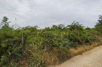 Teren Intravilan, deschidere 26m, Str Sf Agnes, P.U.G. P+2 anunturi imobiliare Bucuresti