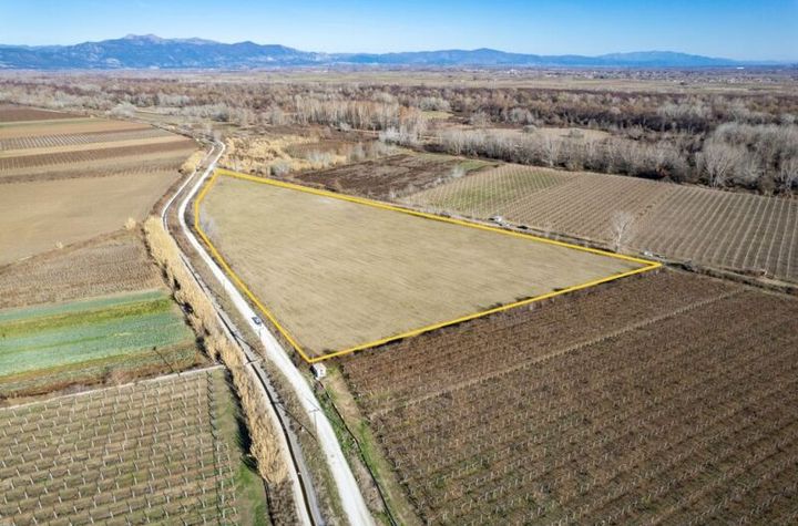 Teren construibil 26.001 mp în Chrysochori anunturi imobiliare Grecia
