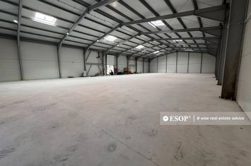 Spațiu industrial de inchiriat OTOPENI - Bucuresti anunturi imobiliare Bucuresti