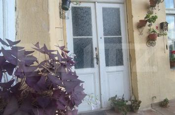 Apartament 4 camere de vanzare TIMISOARA - Timis anunturi imobiliare Timis