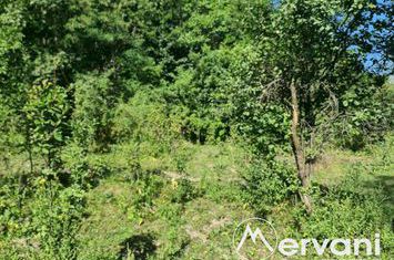 Teren Intravilan de vanzare POIANA CAMPINA - Prahova anunturi imobiliare Prahova