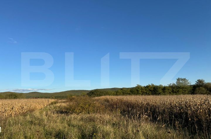 Teren de vanzare BRANISCA - Hunedoara anunturi imobiliare Hunedoara
