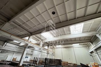Hala Industriala de 1609 mp,  Zona Buziasului anunturi imobiliare Timis