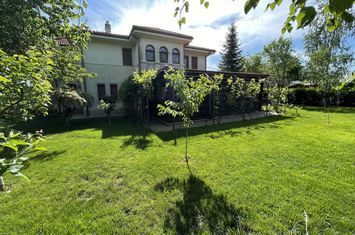 Vilă - 6 camere de vanzare DOMNESTI - Bucuresti anunturi imobiliare Bucuresti