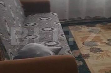 Apartament 3 camere de vanzare CAMPIA TURZII - Cluj anunturi imobiliare Cluj