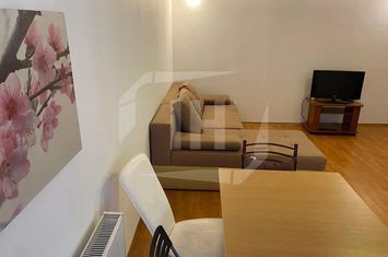 Apartament 2 camere de inchiriat CLUJ-NAPOCA - Cluj anunturi imobiliare Cluj