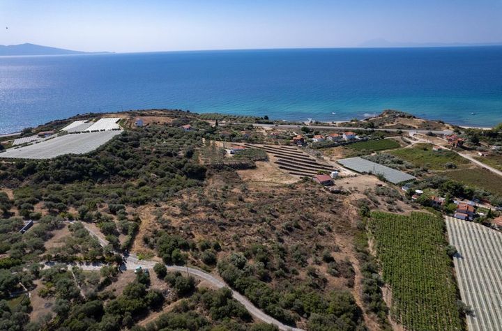 Teren 8.813 mp, la 350 metri de mare — Paralia Folias anunturi imobiliare Grecia