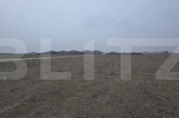 Teren de vanzare AEROPORT - Dolj anunturi imobiliare Dolj