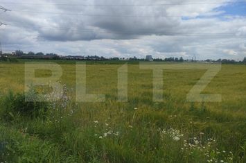Teren de vanzare RADAUTI - Suceava anunturi imobiliare Suceava